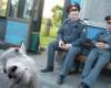 <b>Название: </b>1273844875_14,
 <b>Добавил:<b> Admin<br>Размеры: 595x385,
 43.1 Кб